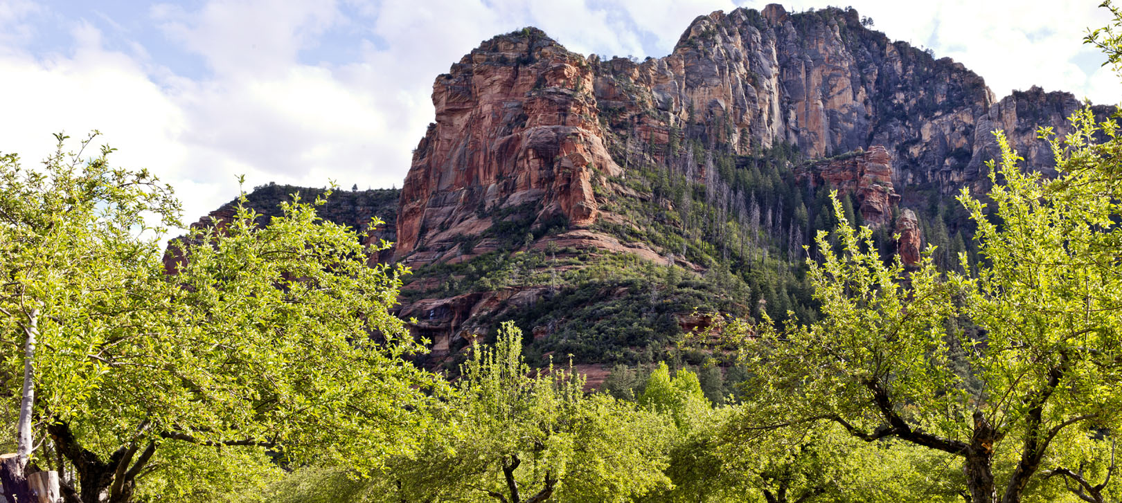 A view of the apple orchard and red rock mountain at Slide Rock State Park