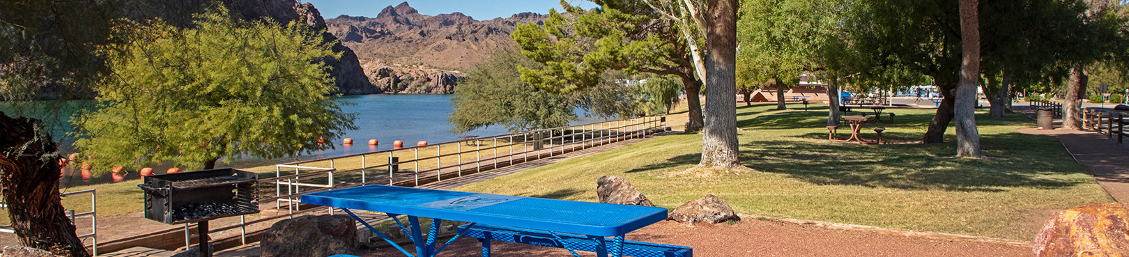 View of the Colorado River from the day use area looking through the trees and over a picnic table and a grill.
