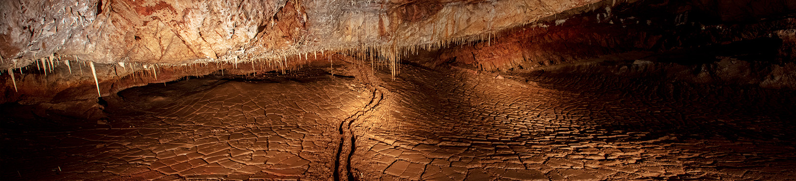 A set of tracks can be seen in the mud on the floor of the Throne room as intricate cave formations grow from the ceiling..