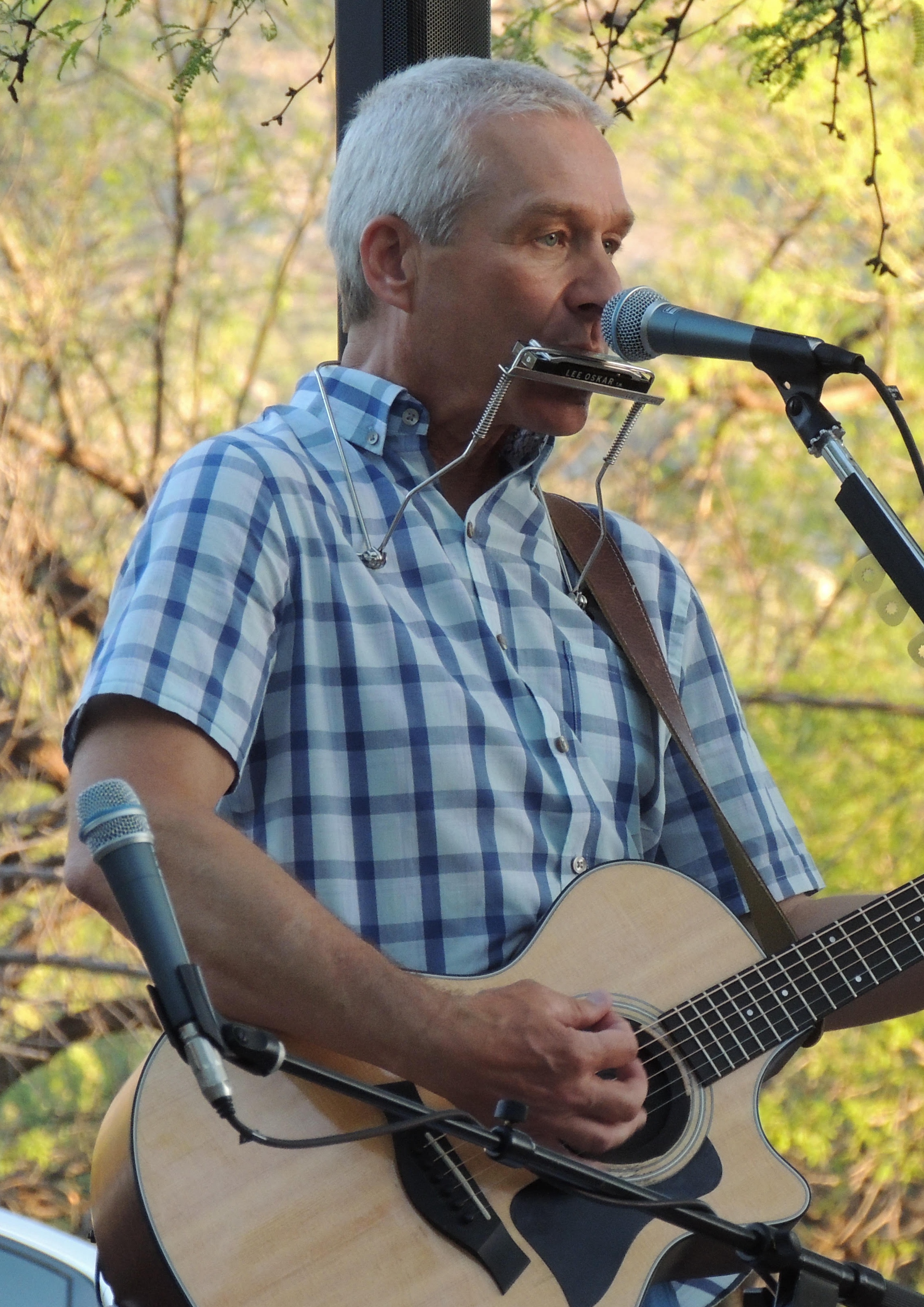 A person playing a guitar in front of green trees.