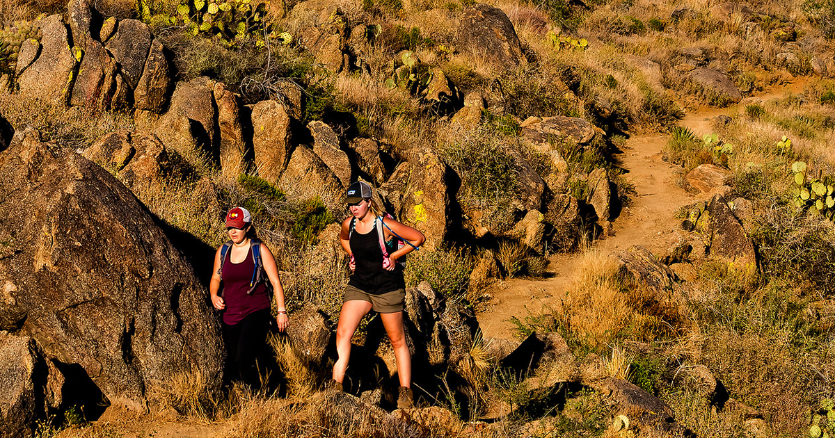 Hikers on the trail at the park