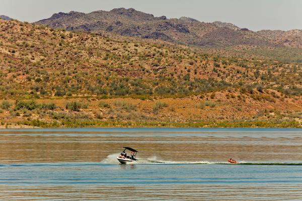 A boat on the water of Alamo Lake with a hillside of wildflowers
