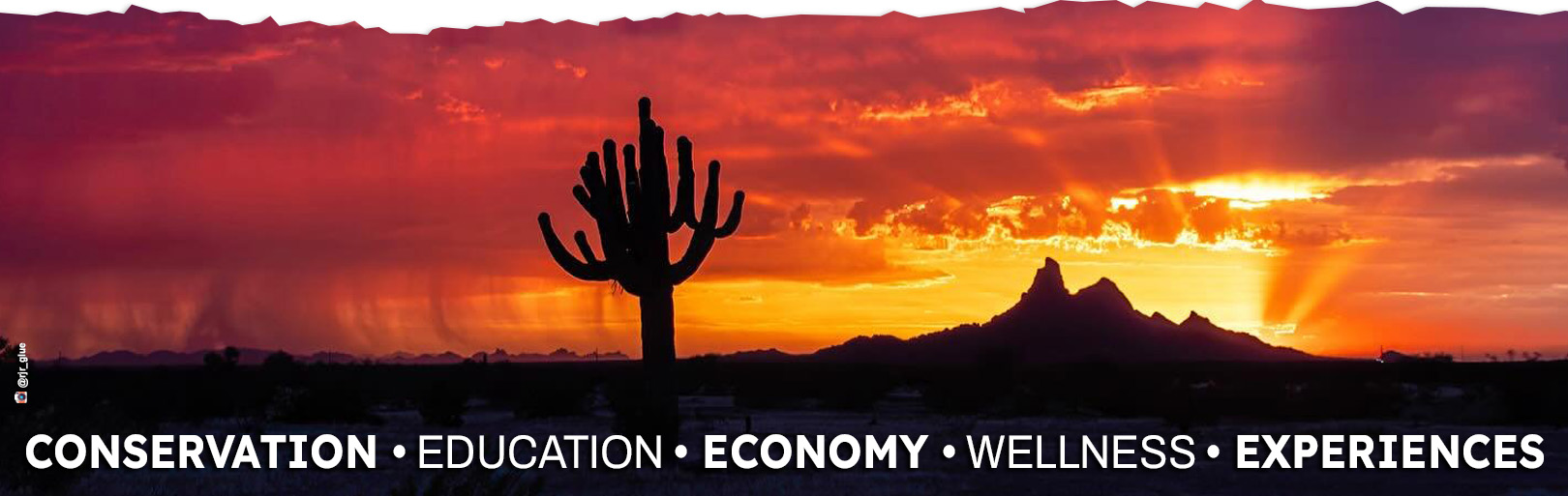A saguaro is silhouetted at sunset with the words conservation, education, economy, wellness, and experiences overlayed.