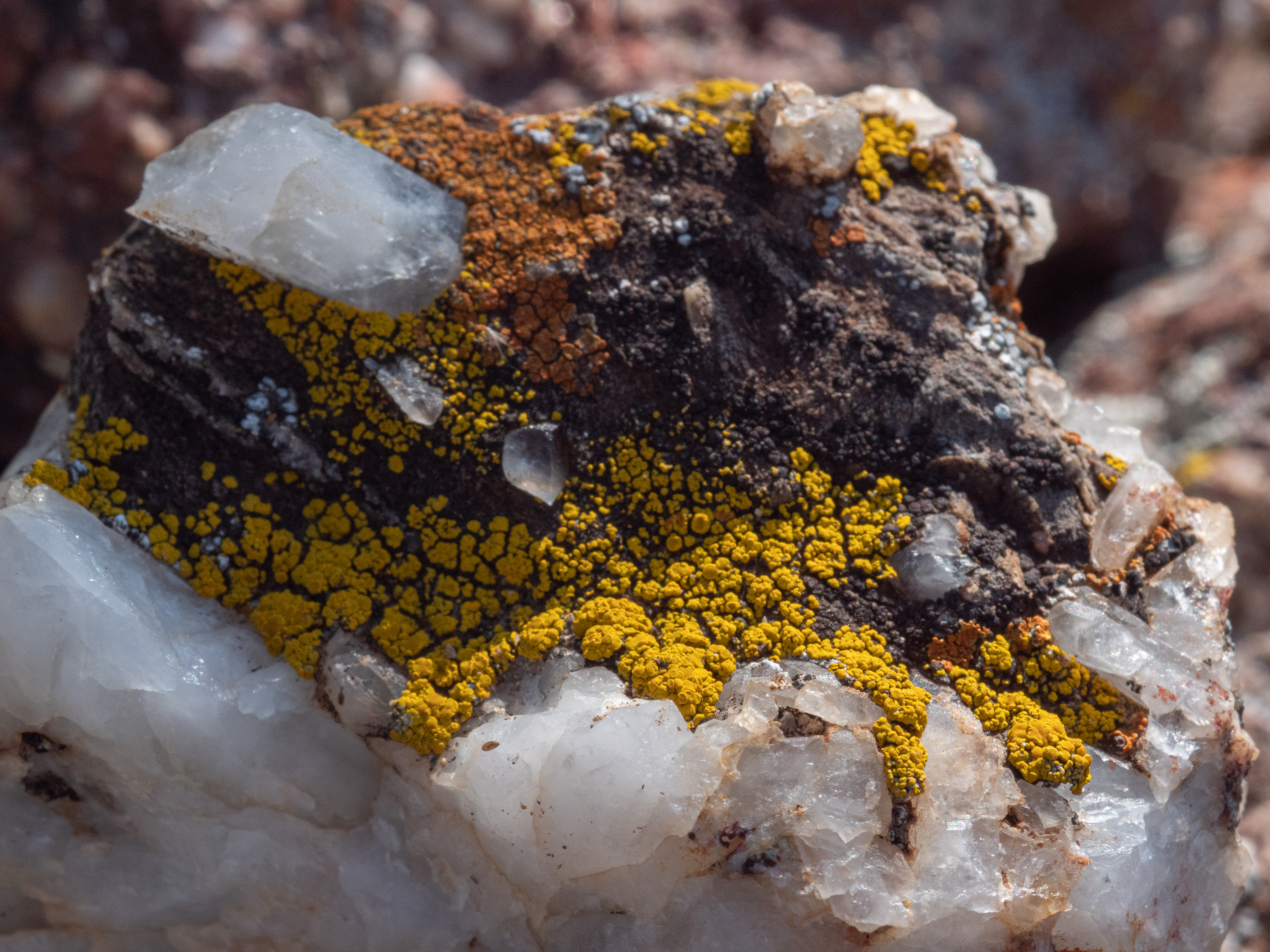 A close up of a unique rock with formations