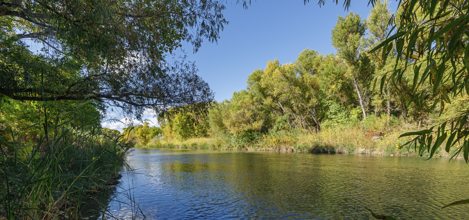 The Verde River flows through Rockin' River Ranch State Park