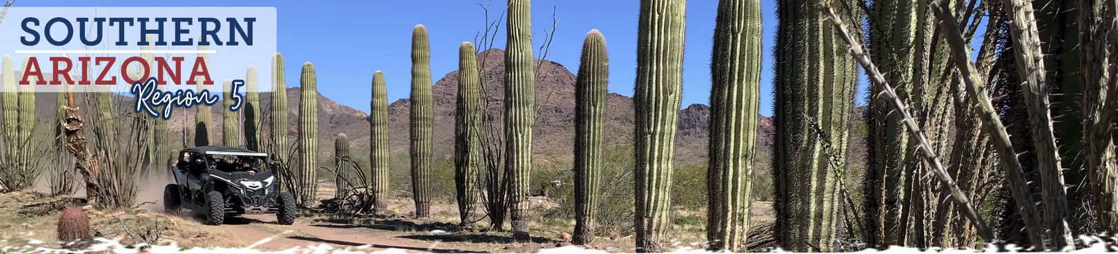 An off-highway vehicle driving a Sonoran Desert trail lined by saguaro cactuses.