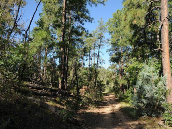 Prescott Circle Trail Photo Credit: City of Prescott